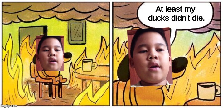 This is Fine (Blank) | At least my ducks didn't die. | image tagged in this is fine blank | made w/ Imgflip meme maker