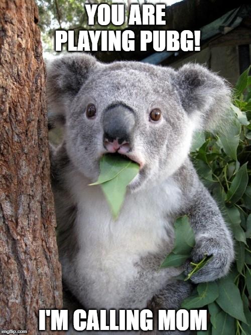 Surprised Koala | YOU ARE PLAYING PUBG! I'M CALLING MOM | image tagged in memes,surprised koala | made w/ Imgflip meme maker
