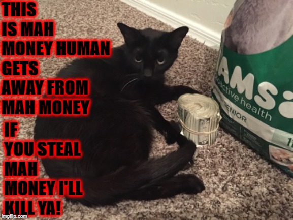 MAH MONEY | THIS IS MAH MONEY HUMAN GETS AWAY FROM MAH MONEY; IF YOU STEAL MAH MONEY I'LL KILL YA! | image tagged in mah money | made w/ Imgflip meme maker