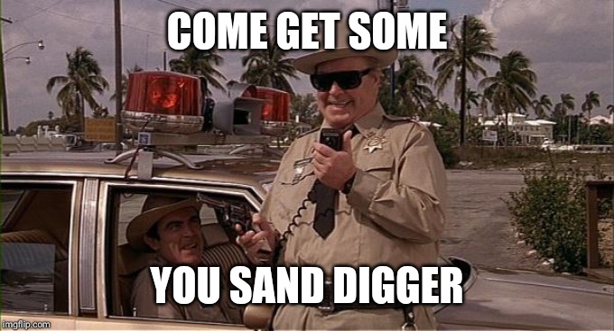 Sheriff Buford T. Justice | COME GET SOME YOU SAND DIGGER | image tagged in sheriff buford t justice | made w/ Imgflip meme maker