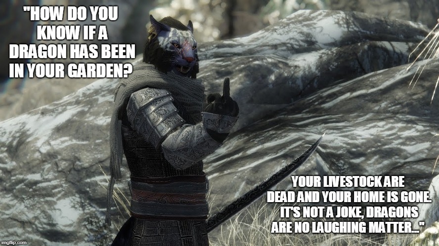 Inigo the Brave | "HOW DO YOU KNOW IF A DRAGON HAS BEEN IN YOUR GARDEN? YOUR LIVESTOCK ARE DEAD AND YOUR HOME IS GONE. IT'S NOT A JOKE, DRAGONS ARE NO LAUGHING MATTER..." | image tagged in skyrim,inigo,dragon | made w/ Imgflip meme maker