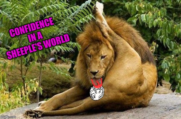lion licking balls | CONFIDENCE IN A SHEEPLE'S WORLD | image tagged in lion licking balls | made w/ Imgflip meme maker