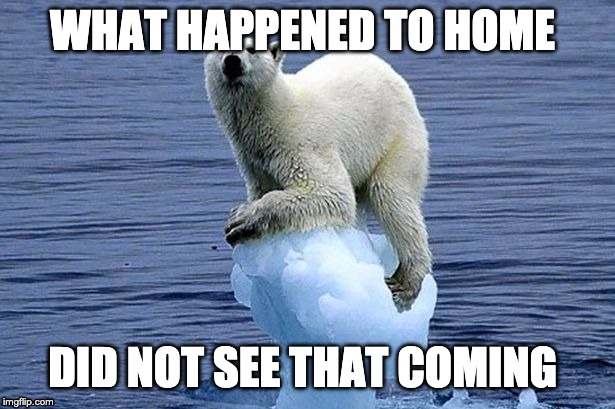 Polar bear climate change | WHAT HAPPENED TO HOME; DID NOT SEE THAT COMING | image tagged in polar bear climate change | made w/ Imgflip meme maker