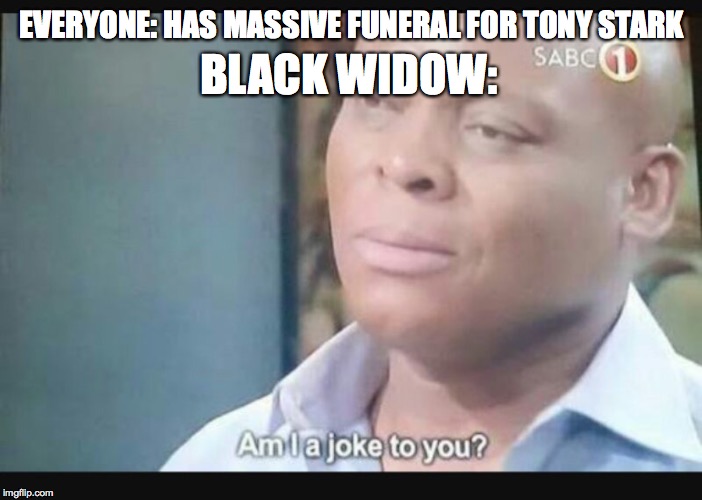 Caution: Contains End Game Spoilers!!!!!!!!! | EVERYONE: HAS MASSIVE FUNERAL FOR TONY STARK; BLACK WIDOW: | image tagged in am i a joke to you | made w/ Imgflip meme maker