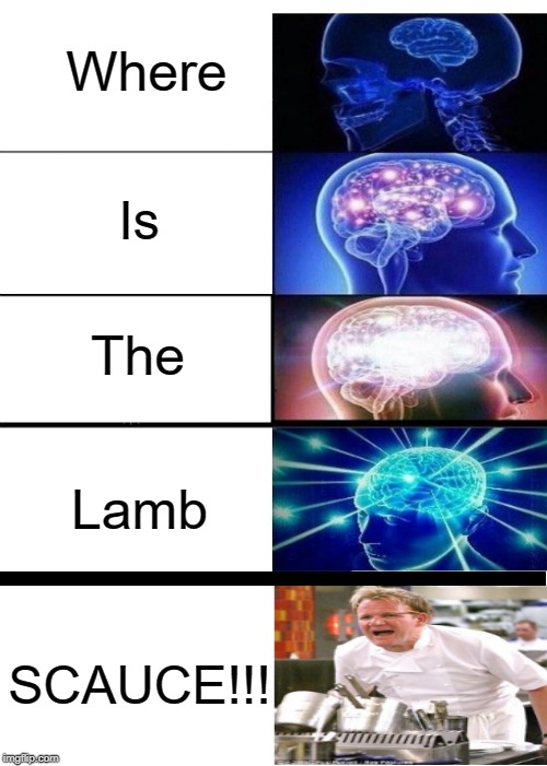Where The F*ck Is It?! | Where; Is; The; Lamb; SCAUCE!!! | image tagged in memes,chef gordon ramsay,lamb sauce,expanding brain,dank memes,like if you did an impersonation of gordan while reading this | made w/ Imgflip meme maker