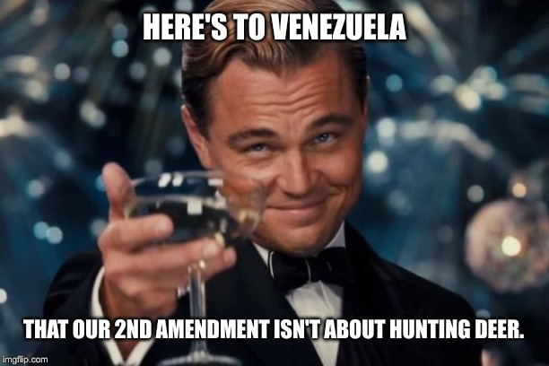 Leonardo Dicaprio Cheers | HERE'S TO VENEZUELA; THAT OUR 2ND AMENDMENT ISN'T ABOUT HUNTING DEER. | image tagged in memes,leonardo dicaprio cheers | made w/ Imgflip meme maker