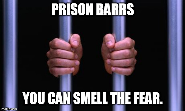Prison Bars | PRISON BARRS; YOU CAN SMELL THE FEAR. | image tagged in prison bars | made w/ Imgflip meme maker