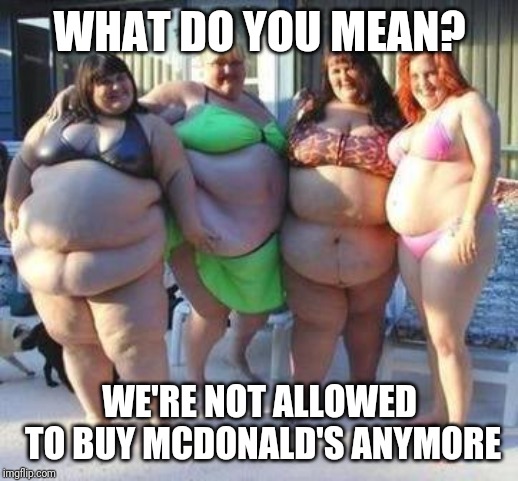 fat chicks |  WHAT DO YOU MEAN? WE'RE NOT ALLOWED TO BUY MCDONALD'S ANYMORE | image tagged in fat chicks | made w/ Imgflip meme maker