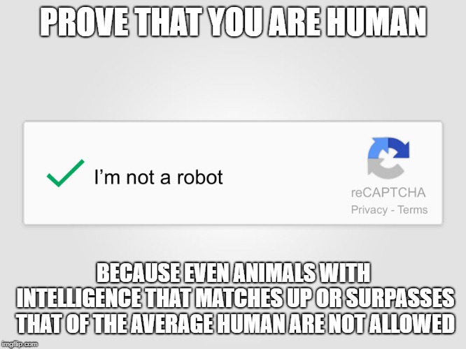 No dogs allowed |  PROVE THAT YOU ARE HUMAN; BECAUSE EVEN ANIMALS WITH INTELLIGENCE THAT MATCHES UP OR SURPASSES THAT OF THE AVERAGE HUMAN ARE NOT ALLOWED | image tagged in animal,speciesism,joke,recaptcha,robot,bot | made w/ Imgflip meme maker