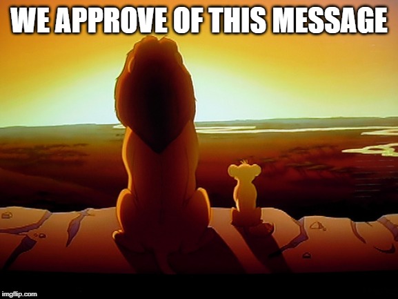Lion King Meme | WE APPROVE OF THIS MESSAGE | image tagged in memes,lion king | made w/ Imgflip meme maker