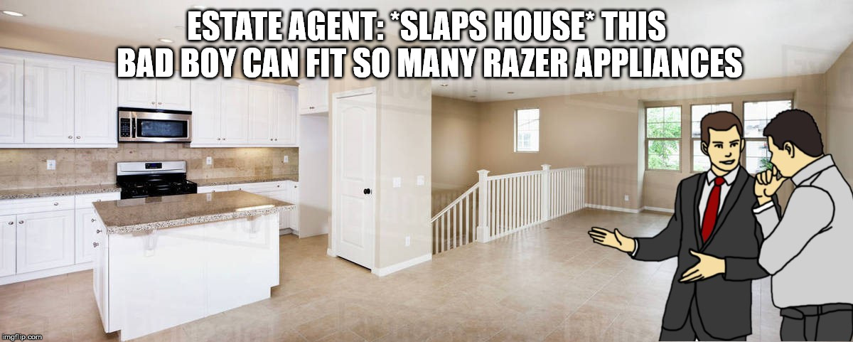 For people who live in homes. By people who live in homes | ESTATE AGENT: *SLAPS HOUSE* THIS BAD BOY CAN FIT SO MANY RAZER APPLIANCES | image tagged in computer,razer,meme,toaster,we did it,tattoo | made w/ Imgflip meme maker