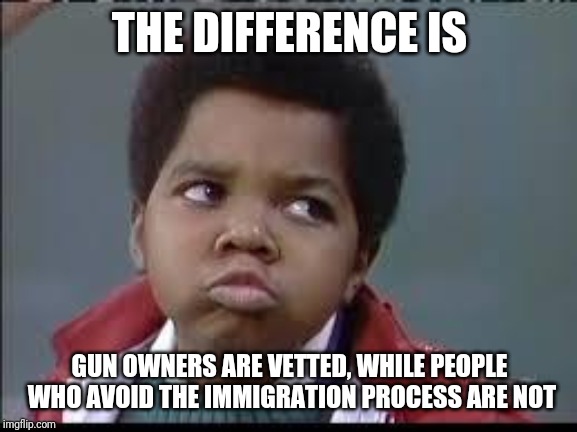 80's (Different Strokes) | THE DIFFERENCE IS GUN OWNERS ARE VETTED, WHILE PEOPLE WHO AVOID THE IMMIGRATION PROCESS ARE NOT | image tagged in 80's different strokes | made w/ Imgflip meme maker