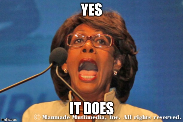 Maxine waters | YES IT DOES | image tagged in maxine waters | made w/ Imgflip meme maker