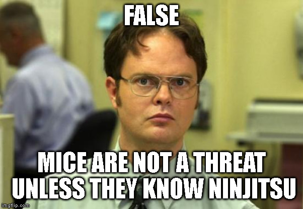 Dwight Schrute | FALSE; MICE ARE NOT A THREAT UNLESS THEY KNOW NINJITSU | image tagged in memes,dwight schrute | made w/ Imgflip meme maker