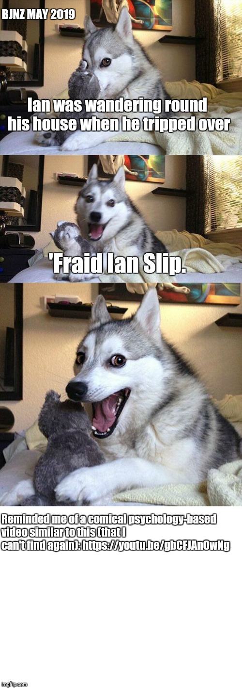 BJNZ MAY 2019; Ian was wandering round his house when he tripped over; 'Fraid Ian Slip. Reminded me of a comical psychology-based video similar to this (that I can't find again): https://youtu.be/gbCFJAnOwNg | image tagged in memes,bad pun dog,blank white template | made w/ Imgflip meme maker