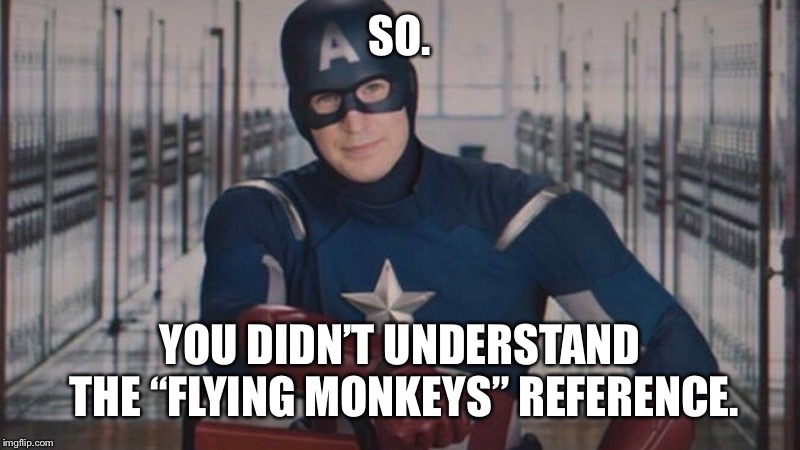 captain america so you | SO. YOU DIDN’T UNDERSTAND THE “FLYING MONKEYS” REFERENCE. | image tagged in captain america so you | made w/ Imgflip meme maker