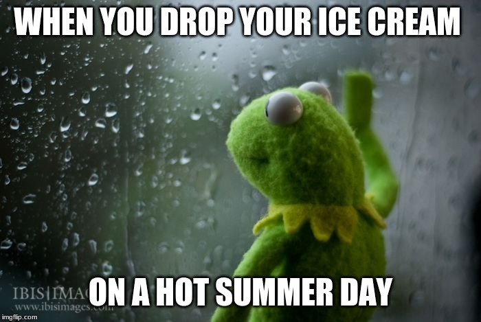 kermit window | WHEN YOU DROP YOUR ICE CREAM; ON A HOT SUMMER DAY | image tagged in kermit window | made w/ Imgflip meme maker