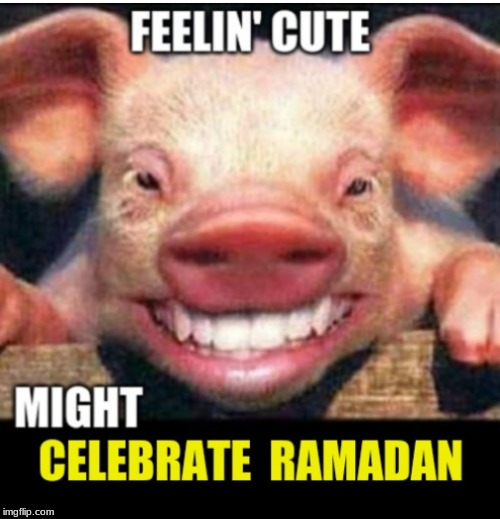 image tagged in feelin' cute,ramadan | made w/ Imgflip meme maker