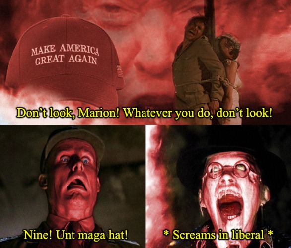 Indiana Jones And The Raiders Of The Republican Wardrobe (Meltdown Edition) | image tagged in donald trump,maga hat,indiana jones,liberals,triggered,triggered liberal | made w/ Imgflip meme maker