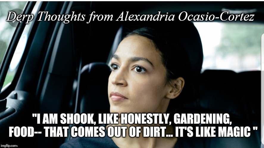 I thought you had to put words in her mouth, but she does a good job on her own. | "I AM SHOOK, LIKE HONESTLY, GARDENING, FOOD-- THAT COMES OUT OF DIRT... IT'S LIKE MAGIC " | image tagged in derp thoughts from aoc,magic,aoc,politics,political meme | made w/ Imgflip meme maker