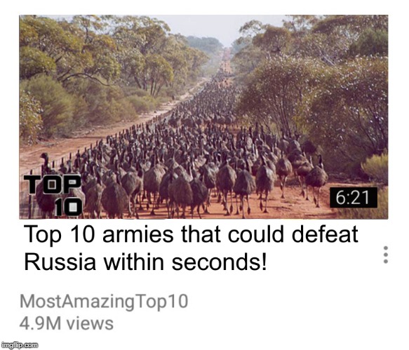 Emu army VS Russia | image tagged in emu,australia,youtube,russia | made w/ Imgflip meme maker