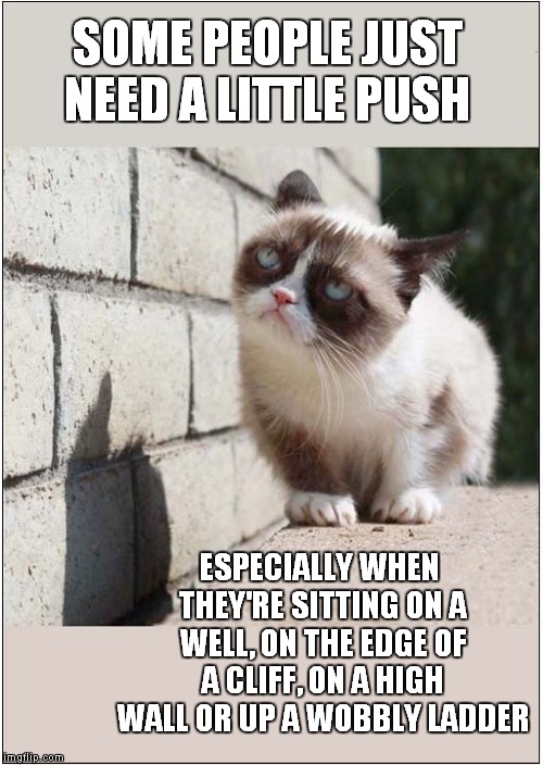 Grumpys Motivational Idea ! | SOME PEOPLE JUST NEED A LITTLE PUSH; ESPECIALLY WHEN THEY'RE SITTING ON A WELL, ON THE EDGE OF A CLIFF, ON A HIGH WALL OR UP A WOBBLY LADDER | image tagged in cats,grumpy cat | made w/ Imgflip meme maker