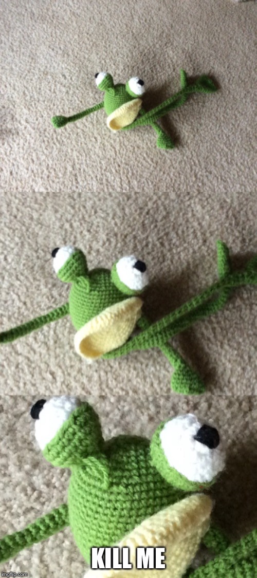 My grandma likes to make crochet animals. My dog likes them very much. | KILL ME | image tagged in frog,pain | made w/ Imgflip meme maker