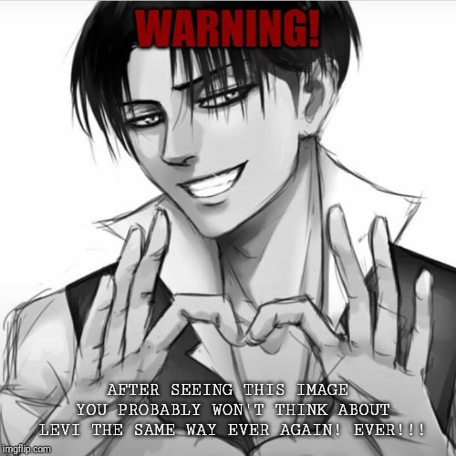 Anime memes | WARNING! AFTER SEEING THIS IMAGE YOU PROBABLY WON'T THINK ABOUT LEVI THE SAME WAY EVER AGAIN! EVER!!! | image tagged in anime memes | made w/ Imgflip meme maker