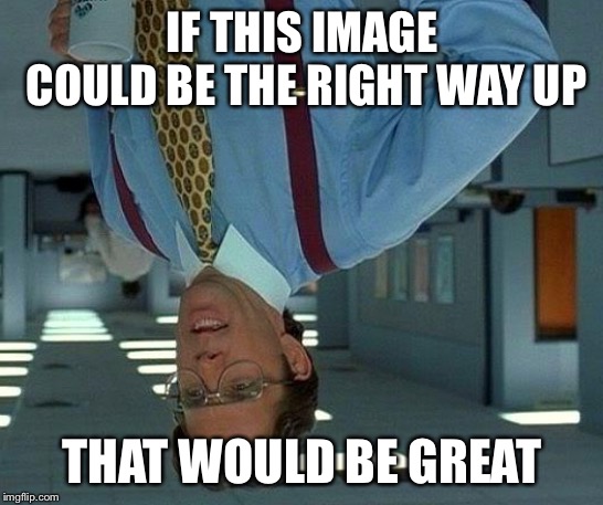 The upside: Part 1 | IF THIS IMAGE COULD BE THE RIGHT WAY UP; THAT WOULD BE GREAT | image tagged in memes,that would be great | made w/ Imgflip meme maker