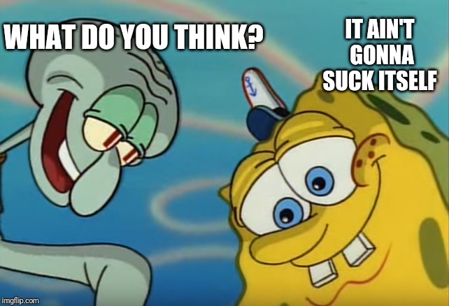 Squidward and Spongebob | WHAT DO YOU THINK? IT AIN'T GONNA SUCK ITSELF | image tagged in squidward and spongebob | made w/ Imgflip meme maker