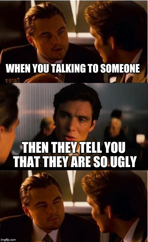 Inception Meme | WHEN YOU TALKING TO SOMEONE; THEN THEY TELL YOU THAT THEY ARE SO UGLY | image tagged in memes,inception | made w/ Imgflip meme maker