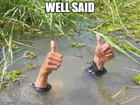 FLOODING THUMBS UP | WELL SAID | image tagged in flooding thumbs up | made w/ Imgflip meme maker