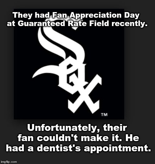 Chicago White Sox | They had Fan Appreciation Day at Guaranteed Rate Field recently. Unfortunately, their fan couldn't make it. He had a dentist's appointment. | image tagged in chicago white sox | made w/ Imgflip meme maker