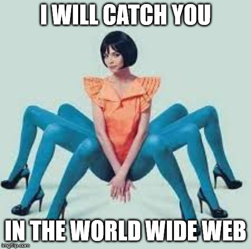 Spider girl | I WILL CATCH YOU; IN THE WORLD WIDE WEB | image tagged in spider girl | made w/ Imgflip meme maker