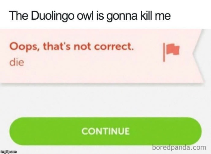 doulingo is evil | image tagged in funny memes | made w/ Imgflip meme maker