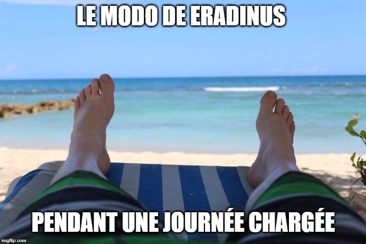 Feet on the beach | LE MODO DE ERADINUS; PENDANT UNE JOURNÉE CHARGÉE | image tagged in feet on the beach | made w/ Imgflip meme maker