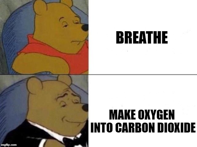 Tuxedo Winnie The Pooh Meme | BREATHE; MAKE OXYGEN INTO CARBON DIOXIDE | image tagged in tuxedo winnie the pooh | made w/ Imgflip meme maker