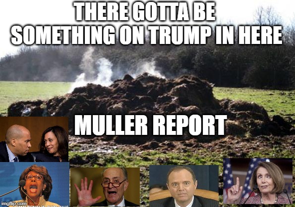 Steaming pile of shit | THERE GOTTA BE SOMETHING ON TRUMP IN HERE; MULLER REPORT | image tagged in steaming pile of shit | made w/ Imgflip meme maker