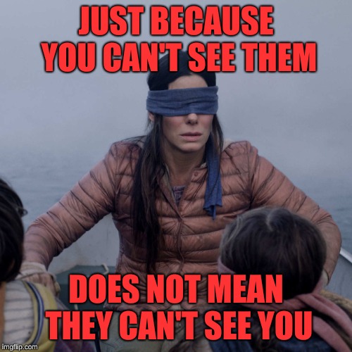 Bird Box | JUST BECAUSE YOU CAN'T SEE THEM; DOES NOT MEAN THEY CAN'T SEE YOU | image tagged in memes,bird box | made w/ Imgflip meme maker