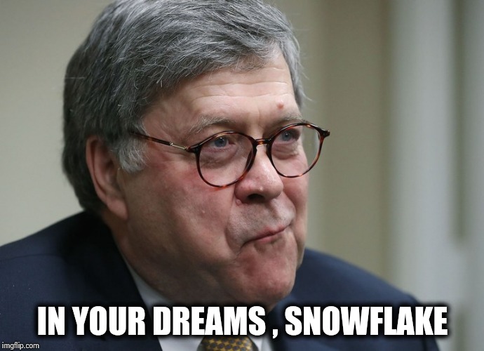 William Barr | IN YOUR DREAMS , SNOWFLAKE | image tagged in william barr | made w/ Imgflip meme maker