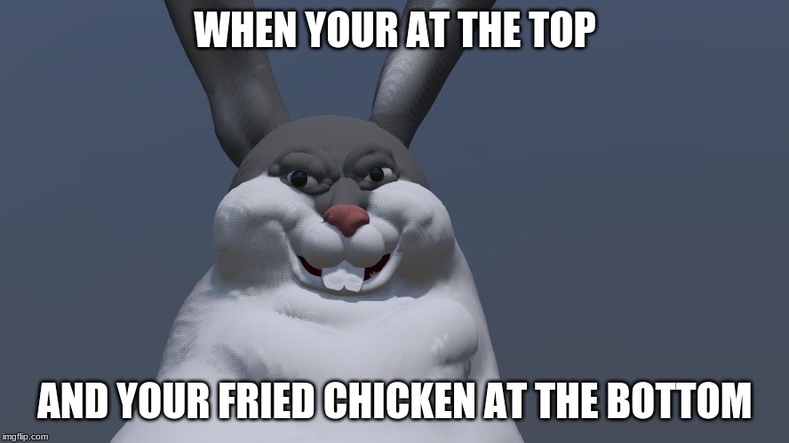 WHEN YOUR AT THE TOP; AND YOUR FRIED CHICKEN AT THE BOTTOM | image tagged in memes | made w/ Imgflip meme maker