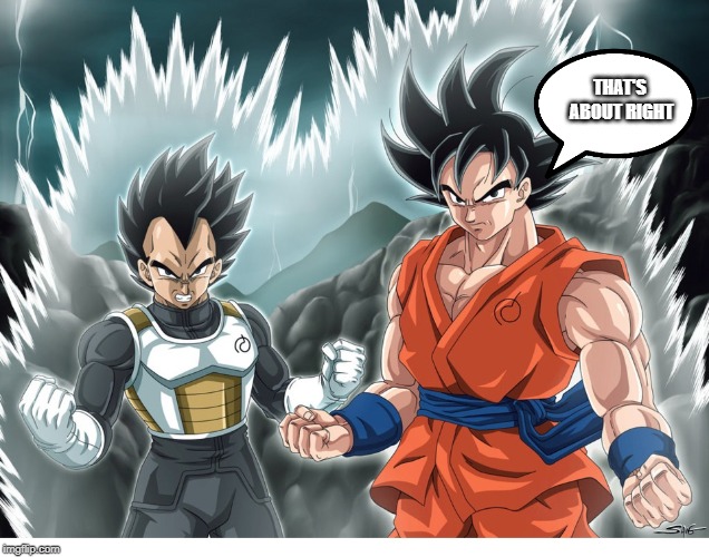 goku and vegeta | THAT'S ABOUT RIGHT | image tagged in goku and vegeta | made w/ Imgflip meme maker