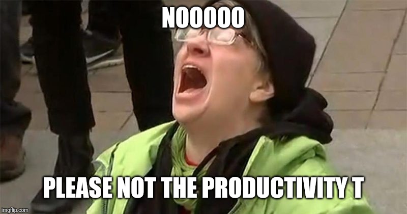 crying liberal | NOOOOO PLEASE NOT THE PRODUCTIVITY T | image tagged in crying liberal | made w/ Imgflip meme maker