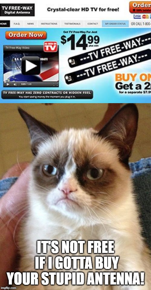 Free huh? | IT'S NOT FREE IF I GOTTA BUY YOUR STUPID ANTENNA! | image tagged in memes,grumpy cat | made w/ Imgflip meme maker