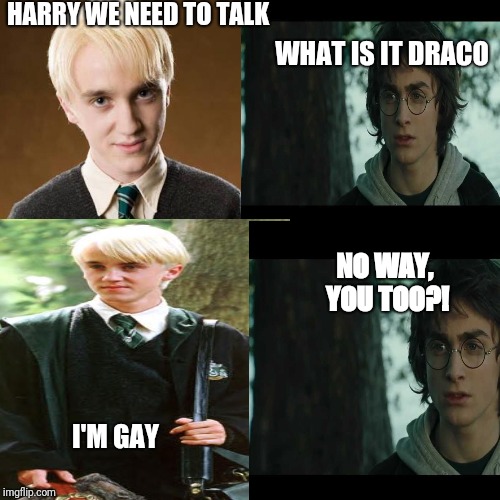 Lol 101 Harry Potter memes | HARRY WE NEED TO TALK; WHAT IS IT DRACO; NO WAY, YOU TOO?! I'M GAY | image tagged in lol 101 harry potter memes | made w/ Imgflip meme maker