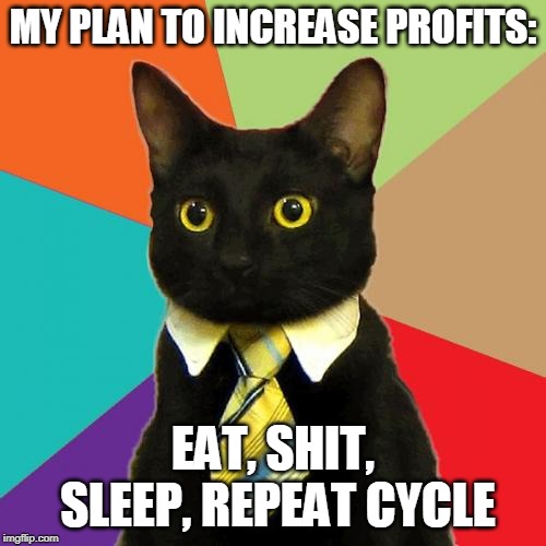 Business Cat | MY PLAN TO INCREASE PROFITS:; EAT, SHIT, SLEEP, REPEAT CYCLE | image tagged in memes,business cat | made w/ Imgflip meme maker