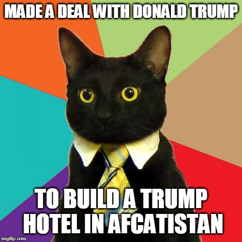 Business Cat | MADE A DEAL WITH DONALD TRUMP; TO BUILD A TRUMP HOTEL IN AFCATISTAN | image tagged in memes,business cat | made w/ Imgflip meme maker