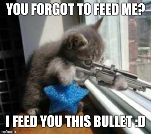 CatSniper | YOU FORGOT TO FEED ME? I FEED YOU THIS BULLET :D | image tagged in catsniper | made w/ Imgflip meme maker