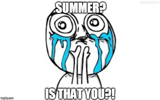 Crying Because Of Cute | SUMMER? IS THAT YOU?! | image tagged in memes,crying because of cute | made w/ Imgflip meme maker