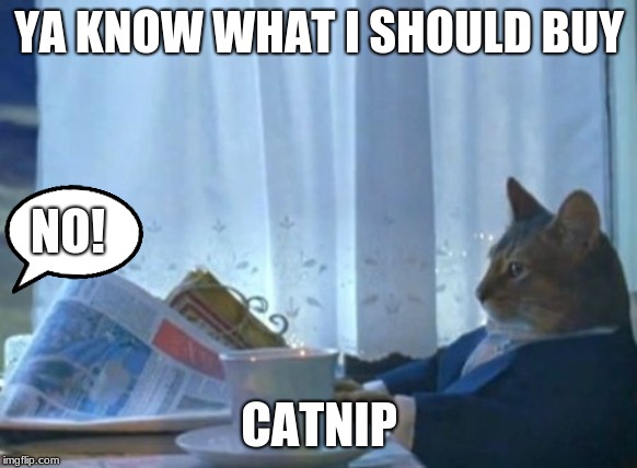I Should Buy A Boat Cat | YA KNOW WHAT I SHOULD BUY; NO! CATNIP | image tagged in memes,i should buy a boat cat | made w/ Imgflip meme maker